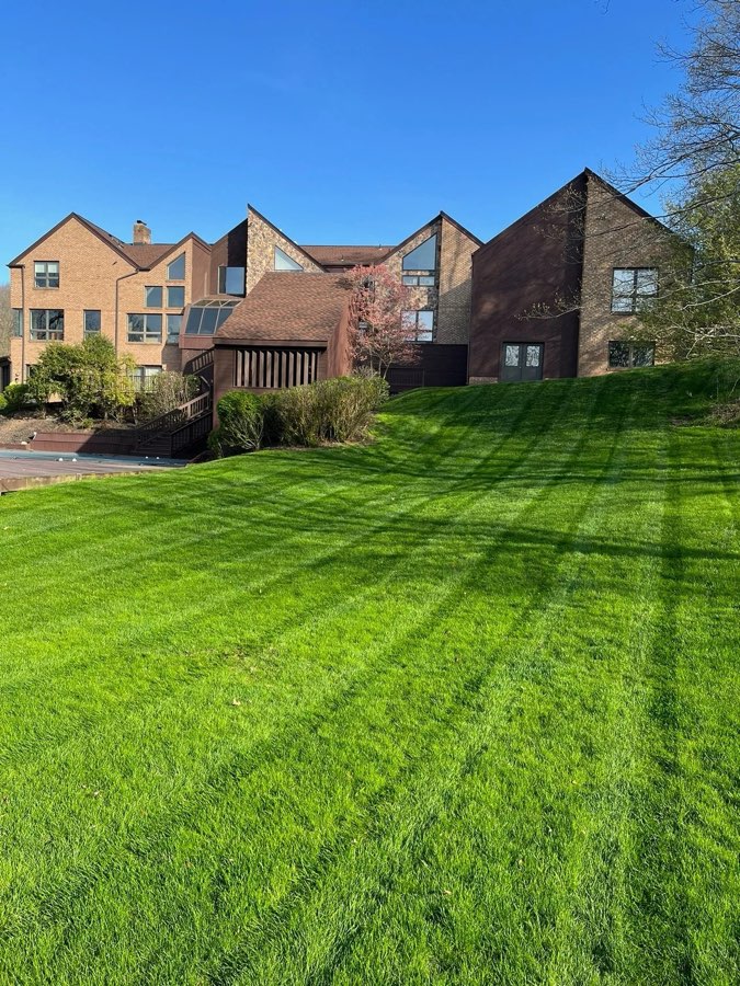 Maintained commercial property lawn